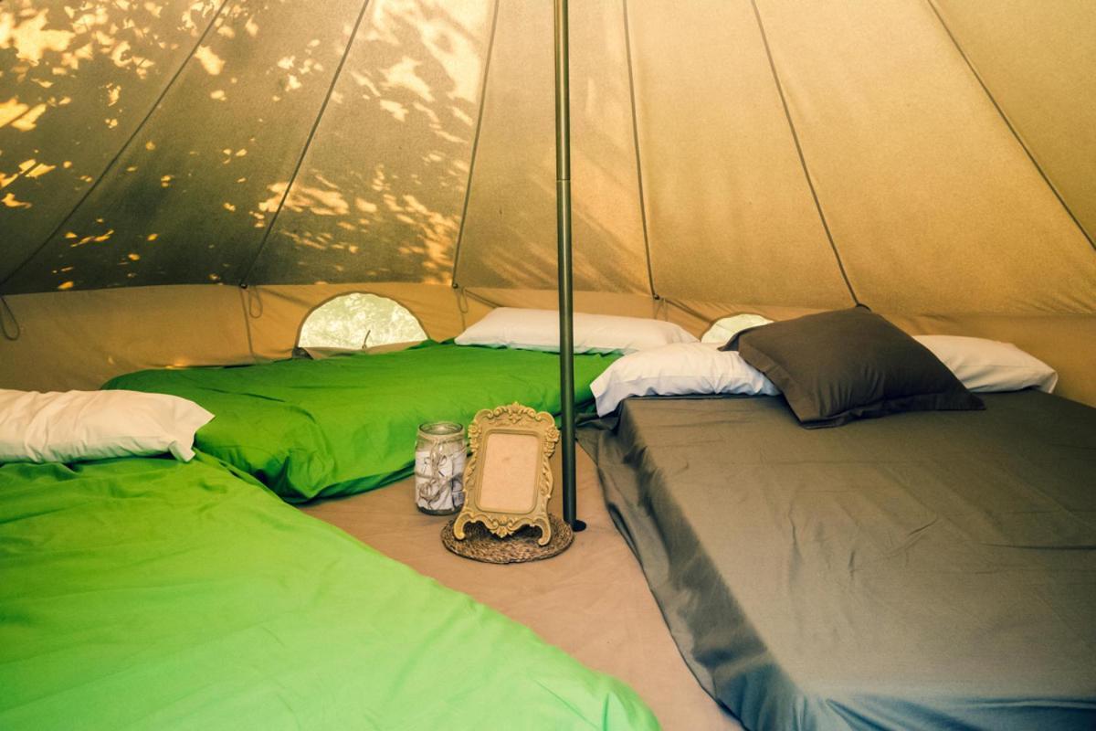 Ecologic Vinyols Camp 호텔 Vinyols i Els Arcs 외부 사진