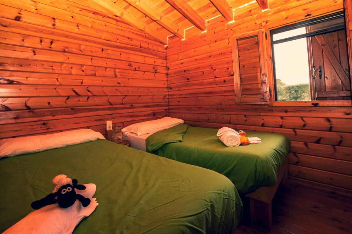 Ecologic Vinyols Camp 호텔 Vinyols i Els Arcs 외부 사진
